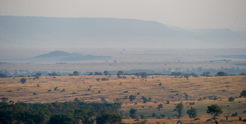 North Serengeti Landscape