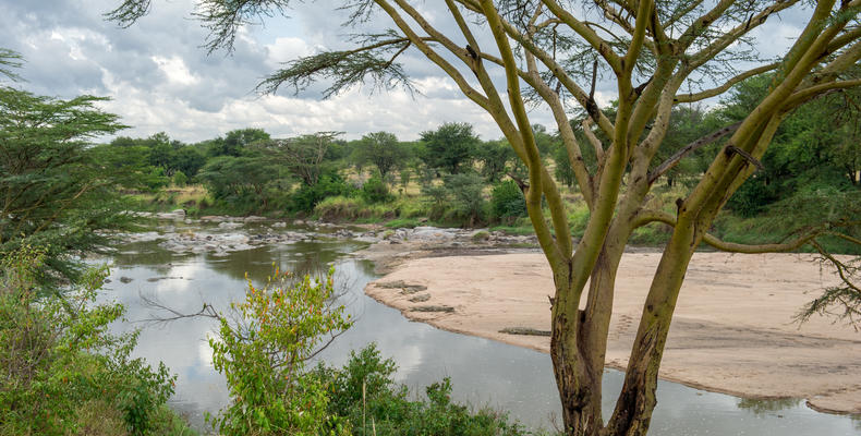 River Mara