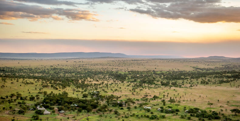 Serengeti Landscape
