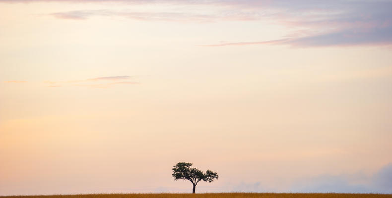 North Serengeti landscape