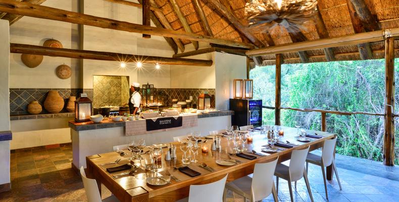 Lobengula at Shamwari Private Game Reserve