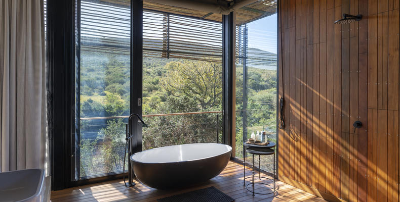 Bayethe on Shamwari Private Game Reserve