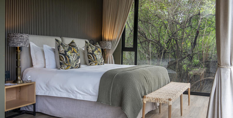 Bayethe on Shamwari Private Game Reserve