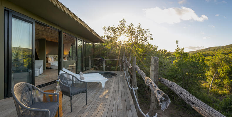 Bayethe on Shamwari Private Game Reserve