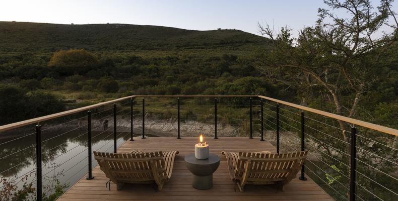 Bayethe on Shamwari Private Game Reserve