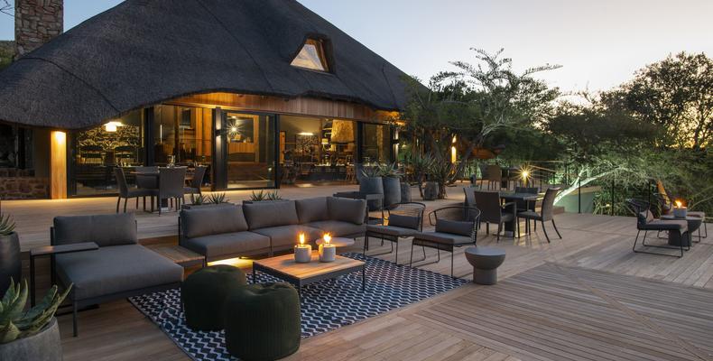 Bayethe on Shamwari Private Game Reserve