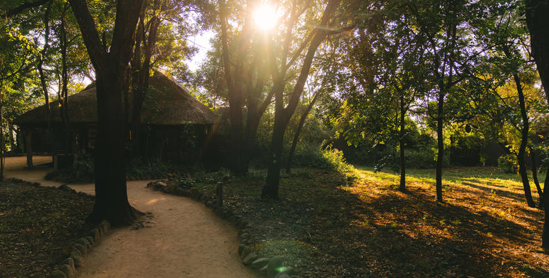 Jock Safari Lodge | Main Jock