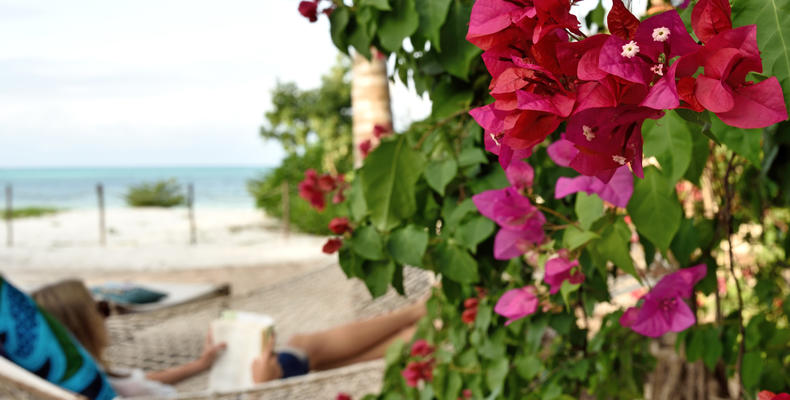 Sharazad Boutique Hotel  Sea View Garden