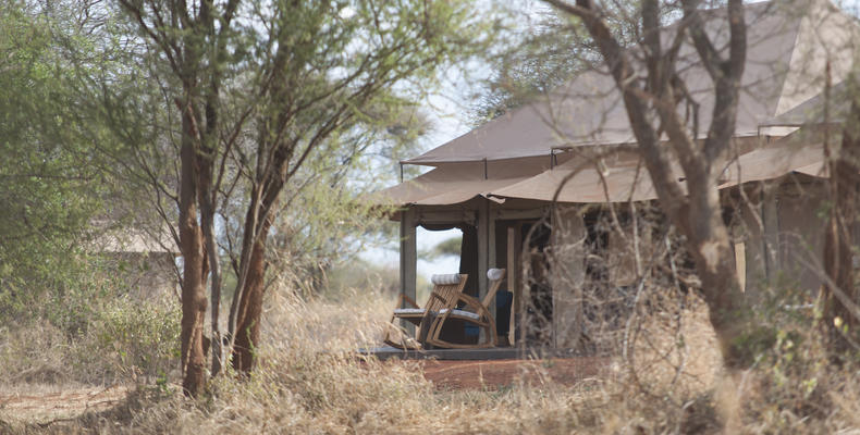 In the Bush