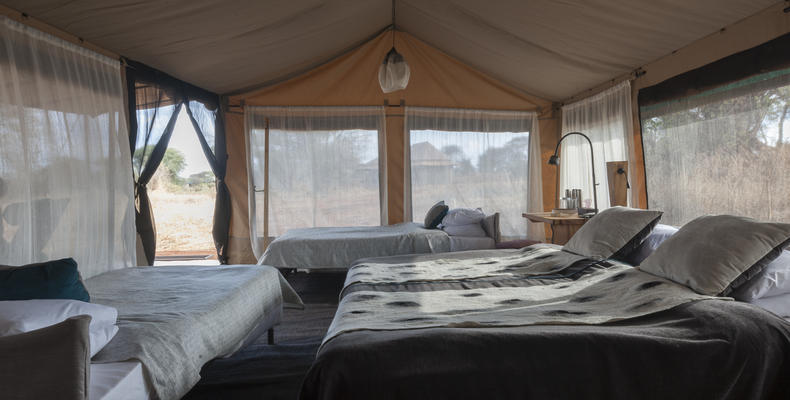 Quad Room