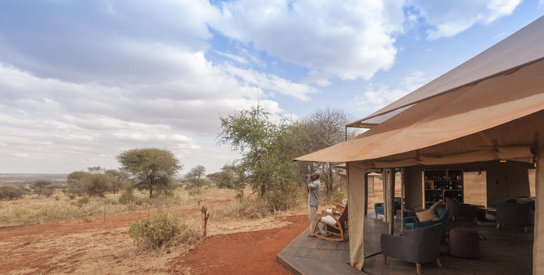 The Red Earth of Tarangire