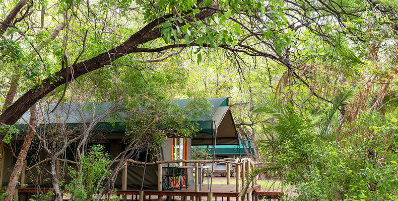 Ndhovu Safari Lodge - Safari Tent