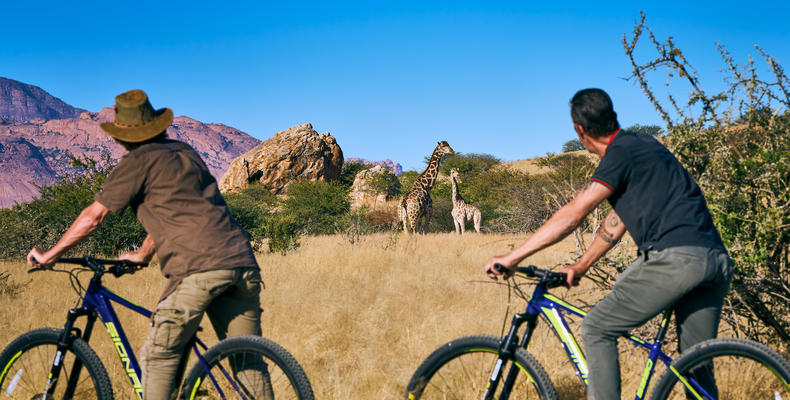 Mountain-Biking-Hohenstein-Lodge
