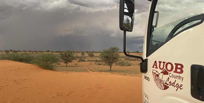 Game Drive - Activity