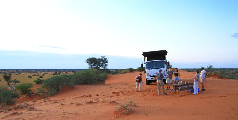 Game Drive - Activity