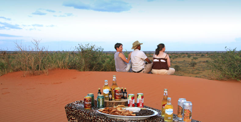 Game Drive - Activity