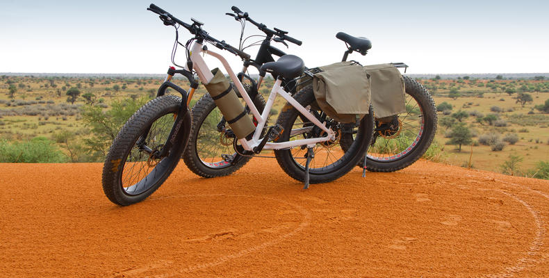 E-Bike - Activity
