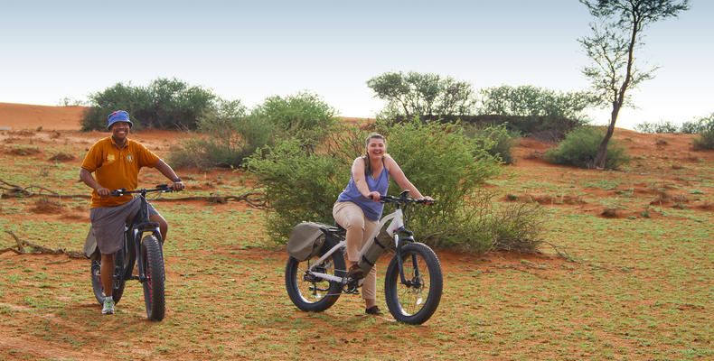 E-Bike - Activity