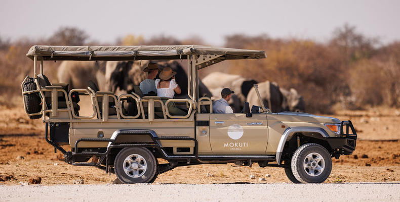 safari