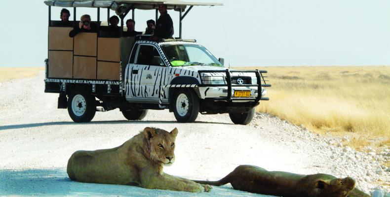 Etosha Safari Camp