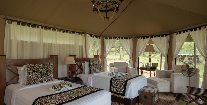 Twin Room