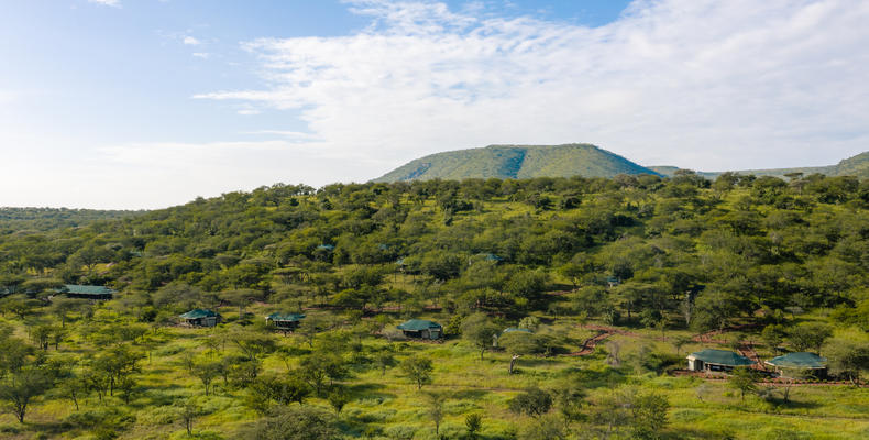 Camp View