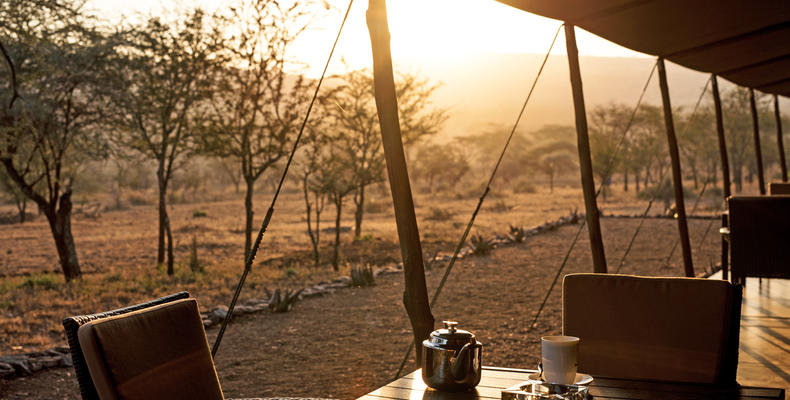 Camp Area