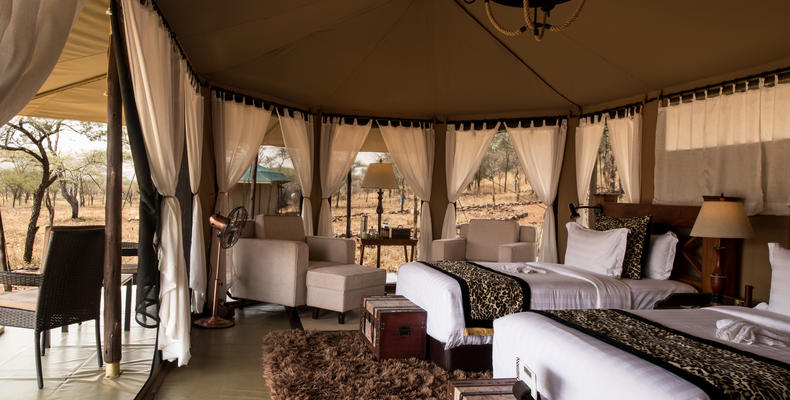 Tent Room