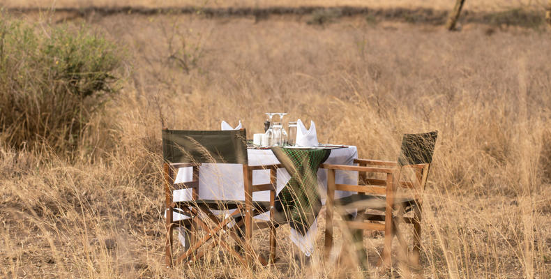 Bush Dinner