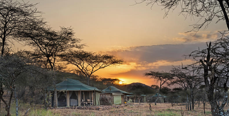 The Camp