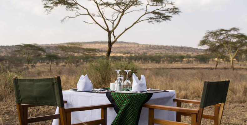 Bush Dinner Setup