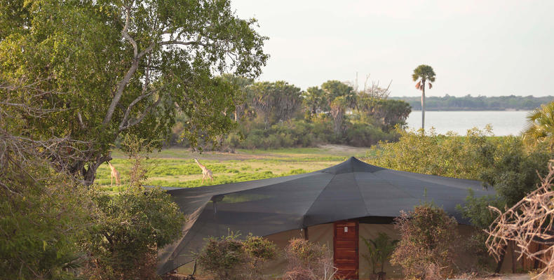 Roho ya Selous - Tent exterior 
