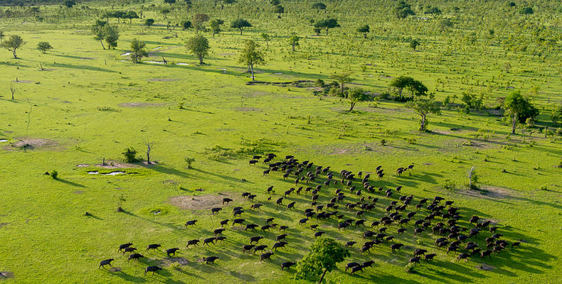 Roho ya Selous - Views