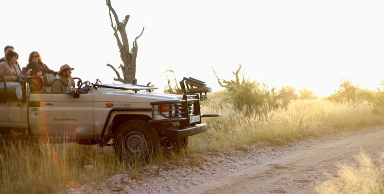 Ivory Wilderness Driving Safari.