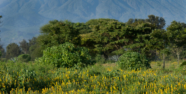 Katambuga House with Mount Meru as backdrop