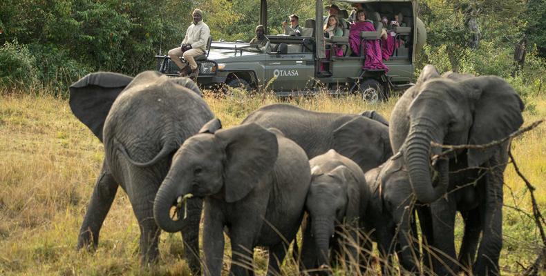 TAASA Moments -  Game Drive