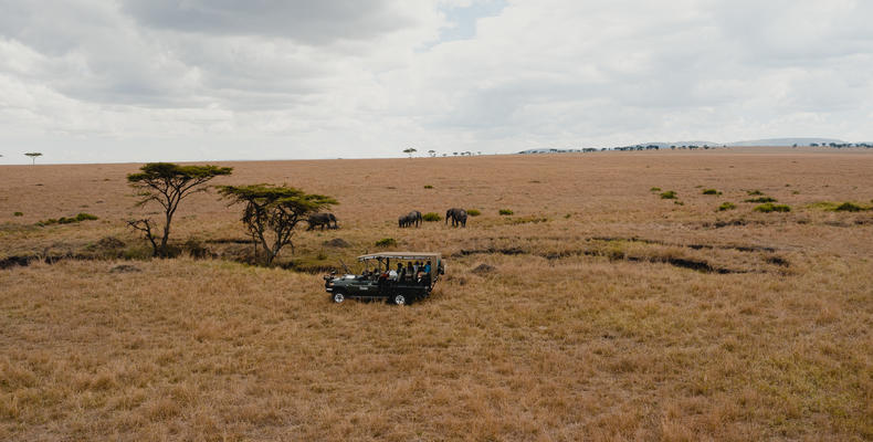 TAASA Safari & Wildlife