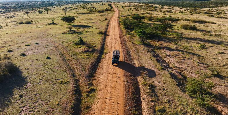 TAASA Safari & Wildlife