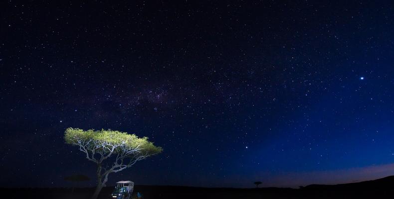 Night Game Drive