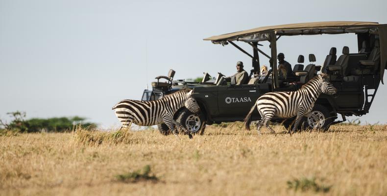 TAASA Safari & Wildlife
