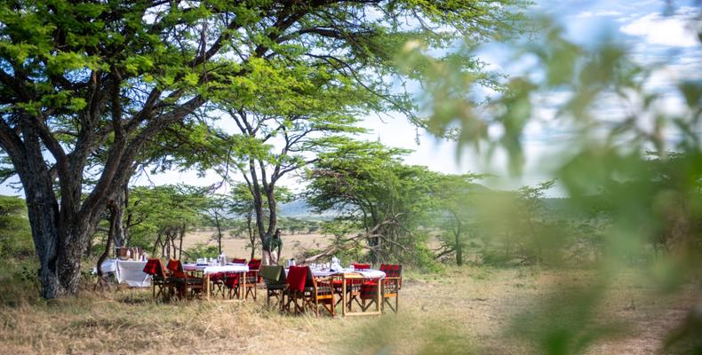 TAASA Moment - bush breakfast