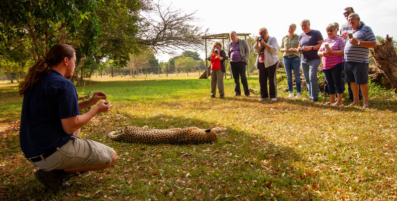 Cat tours at Emdoneni