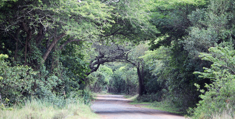 Welcome to Emdoneni Lodge