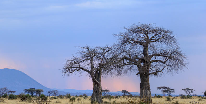Jabali Private house - Ruaha Landscape