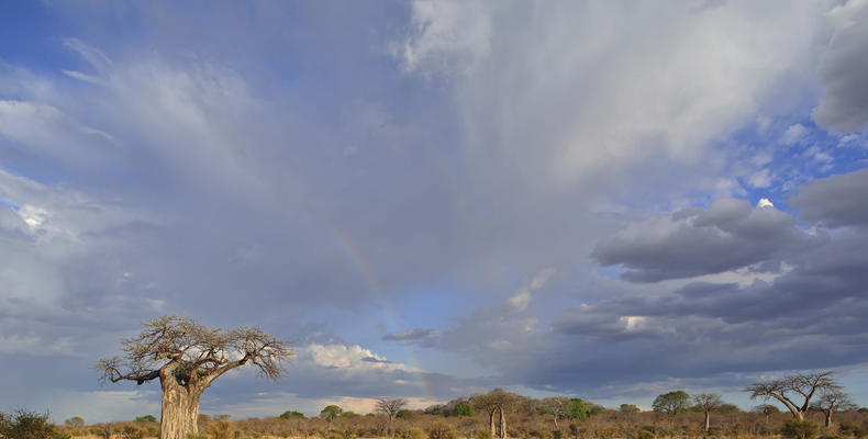 Jabali Private House - Scenic Views From Camp