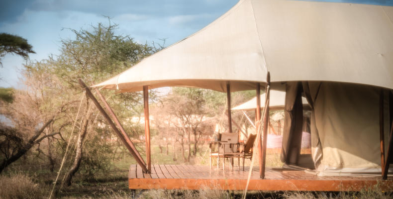 Luxury Tented Suite