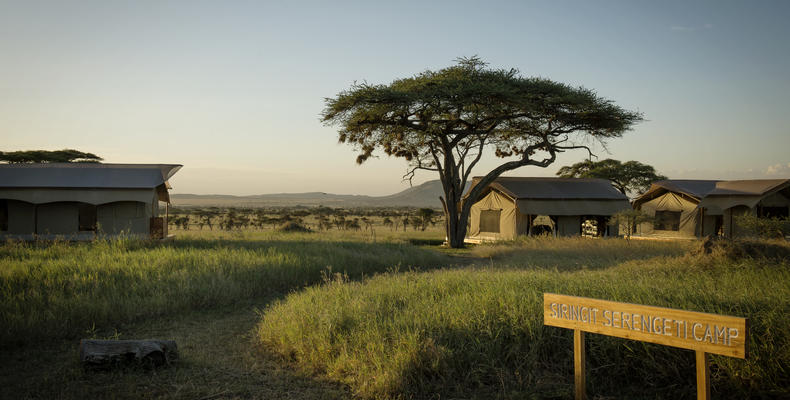 Siringit Serengeti Camp