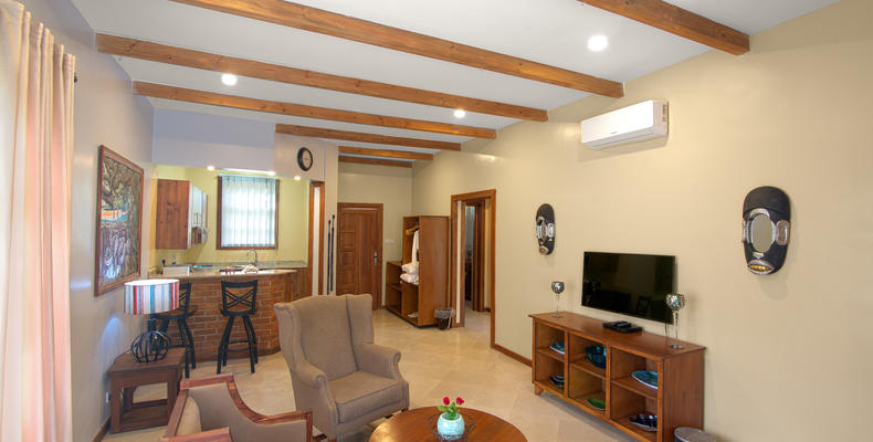Executive suite - Living Room & Kitchen