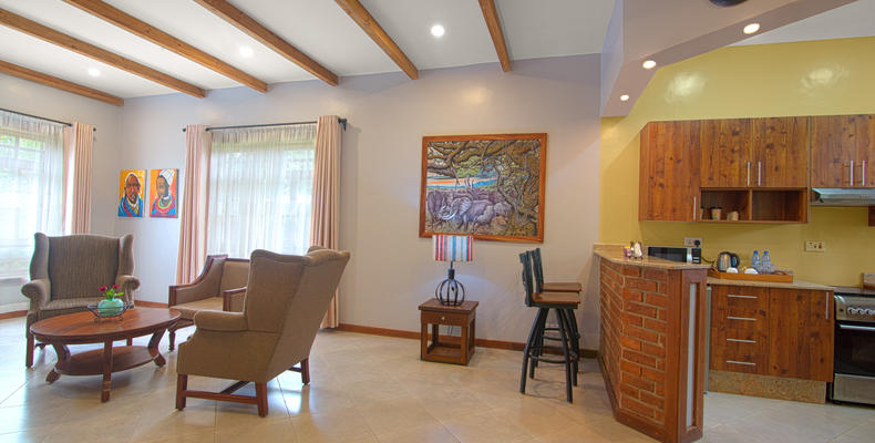 Executive suite - Living Room - Kitchen