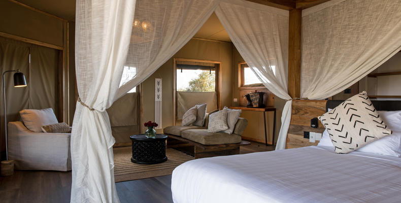 Standard Suite